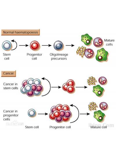 未來已來！干細胞療法在老年疾病治療方面的潛力正在逐步顯現！